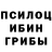 Галлюциногенные грибы Magic Shrooms STAL1N