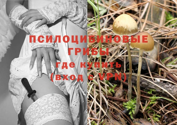 гидра Нея