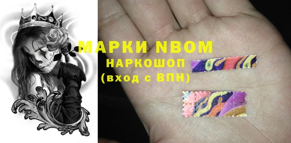 гидра Нея